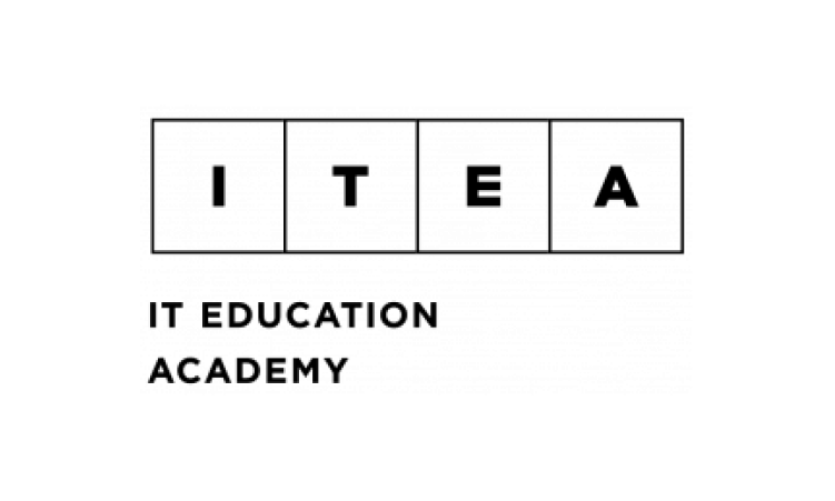 IT Education Academy