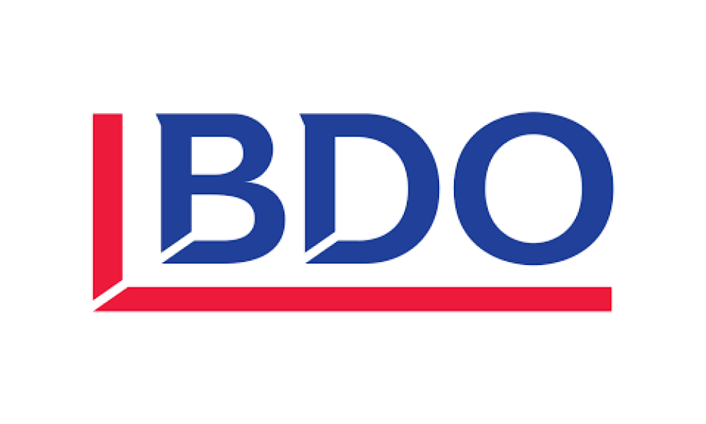 BDO LLC
